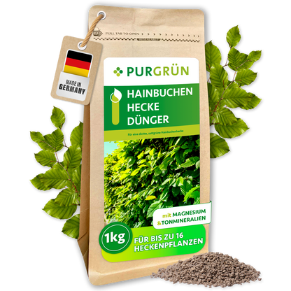 Purgrün Hainbuchenhecke-Dünger im 1-kg-Standbeutel, umgeben von Hainbuchenblättern und feinem Granulat.
