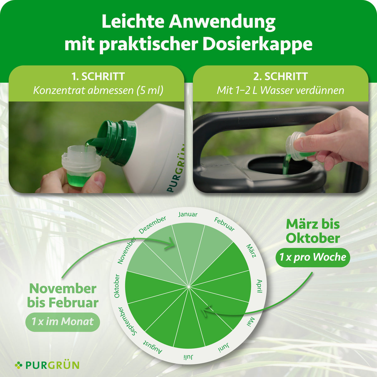 5 ml Konzentrat mit 1–2 L Wasser verdünnen; von März bis Oktober 1× pro Woche, von November bis Februar 1× im Monat anwenden.