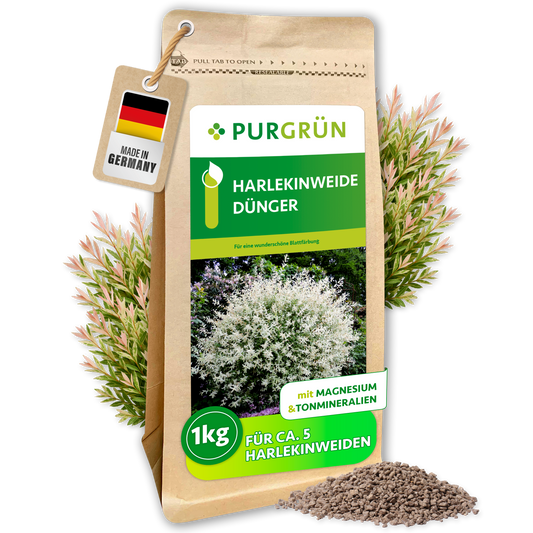 Purgrün Harlekinweide-Dünger im wiederverschließbaren 1-kg-Beutel für ca. 5 Harlekinweiden, mit Zweigen und feinem Granulat.