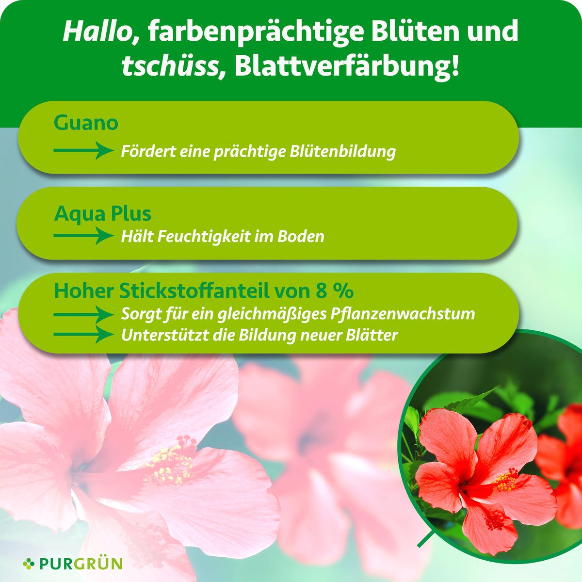 Guano fördert die Blütenbildung, Aqua Plus hält Feuchtigkeit im Boden. 8 % Stickstoff unterstützen gleichmäßiges Wachstum und die Bildung neuer Blätter.