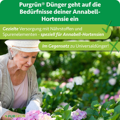 Spezielle Versorgung von Annabell-Hortensien mit Nährstoffen und Spurenelementen im Gegensatz zu Universaldünger; eine ältere Frau pflegt Hortensien im Garten.