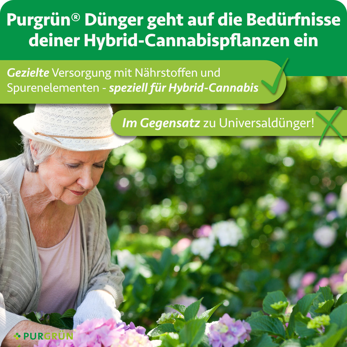 Ältere Gärtnerin im Blumenbeet; Purgrün Dünger versorgt Hybrid-Cannabispflanzen gezielt mit Nährstoffen und Spurenelementen statt mit Universaldünger.