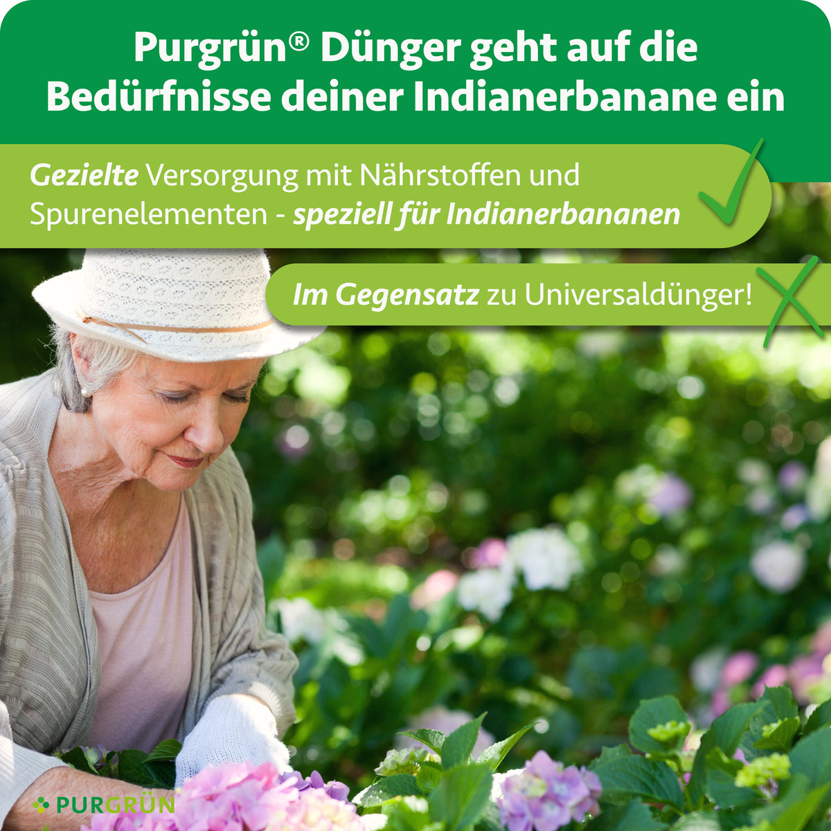 Gezielte Versorgung mit Nährstoffen und Spurenelementen speziell für Indianerbananen statt Universaldünger; eine Frau arbeitet im Garten.