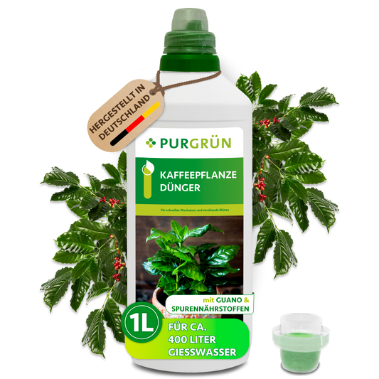 Purgrün Kaffeepflanze-Dünger, 1 Liter, mit Dosierkappe; das Konzentrat reicht für ca. 400 Liter Gießwasser.