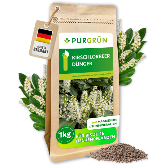Purgrün Kirschlorbeer-Dünger im 1-kg-Standbeutel mit sichtbarem Granulat und blühendem Kirschlorbeer; mit Magnesium und Tonmineralien für bis zu 16 Heckenpflanzen.