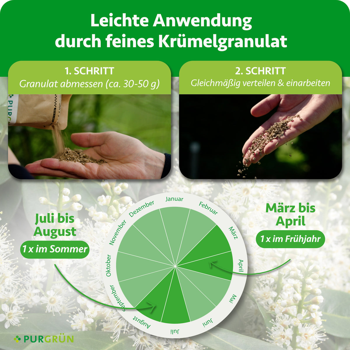 Anwendung: ca. 30–50 g Granulat abmessen, gleichmäßig verteilen und einarbeiten. Je einmal im März bis April und im Juli bis August düngen.