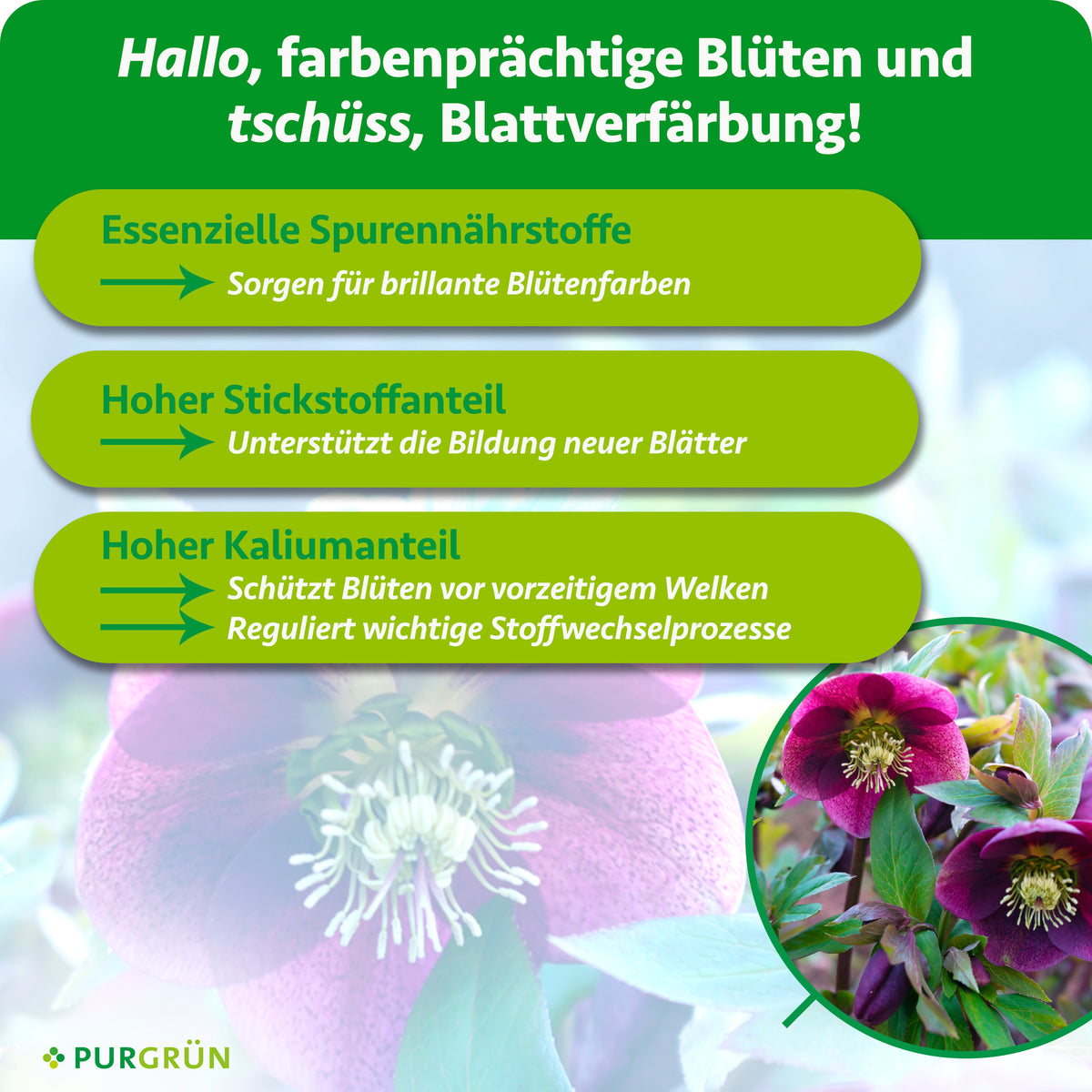 Essenzielle Spurennährstoffe unterstützen brillante Blütenfarben, Stickstoff die Bildung neuer Blätter und Kalium den Stoffwechsel sowie den Schutz vor vorzeitigem Welken.