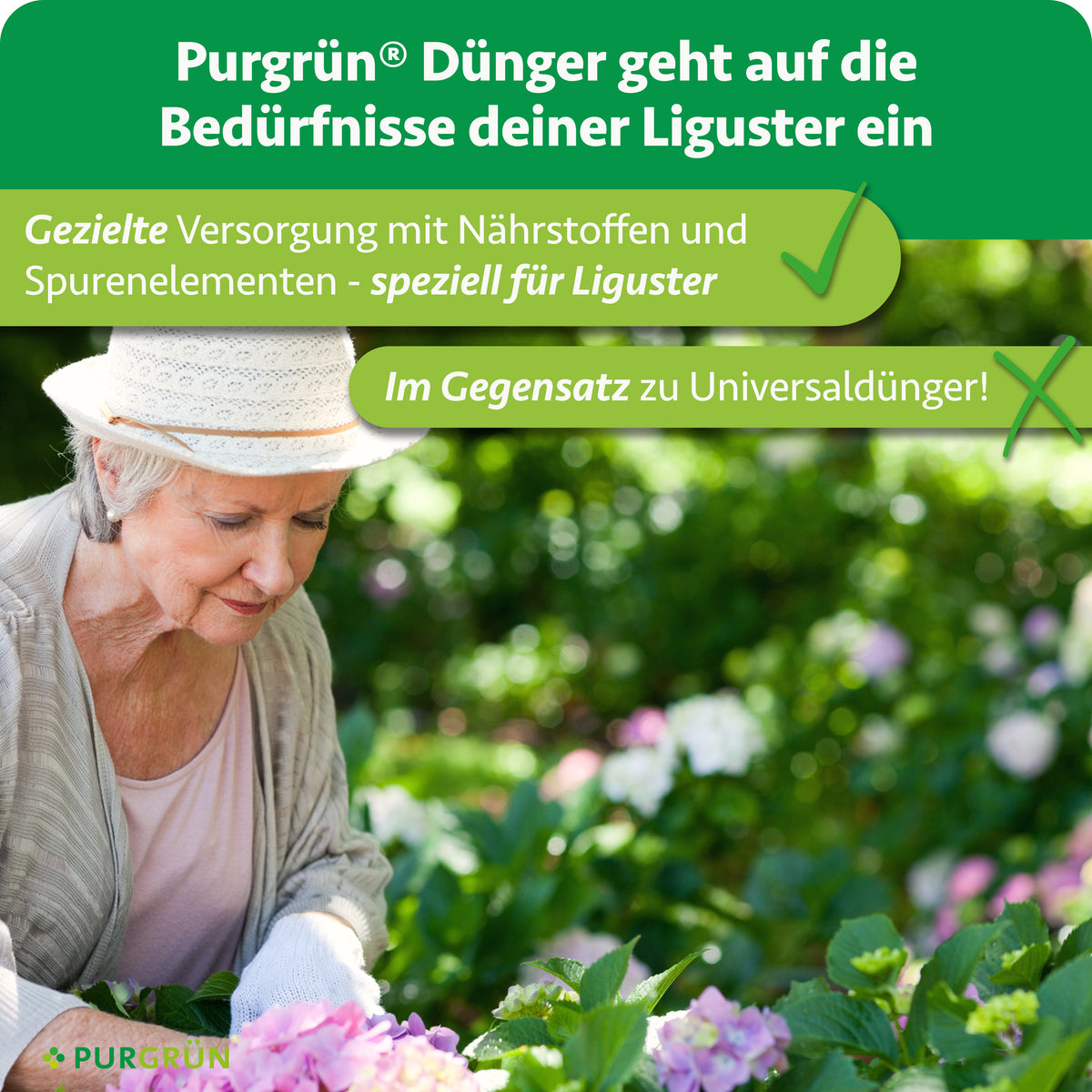 Purgrün Liguster-Dünger bietet eine gezielte Versorgung mit Nährstoffen und Spurenelementen speziell für Liguster – im Gegensatz zu Universaldünger.