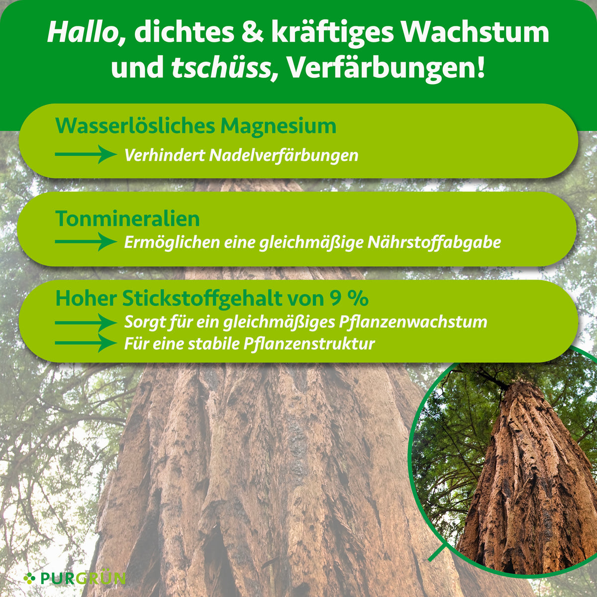 Wasserlösliches Magnesium verhindert Nadelverfärbungen, Tonmineralien ermöglichen eine gleichmäßige Nährstoffabgabe und 9 % Stickstoff sorgen für gleichmäßiges Wachstum und eine stabile Pflanzenstruktur.