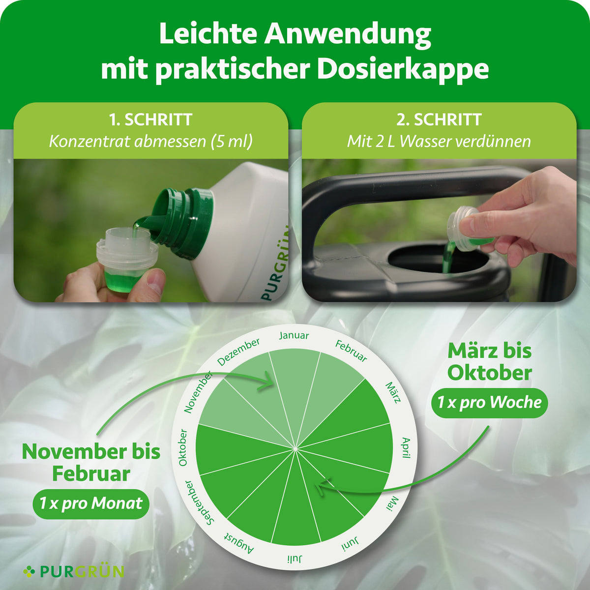 Anwendung: 5 ml Konzentrat abmessen und mit 2 Litern Wasser verdünnen. Von März bis Oktober einmal pro Woche, von November bis Februar einmal pro Monat düngen.