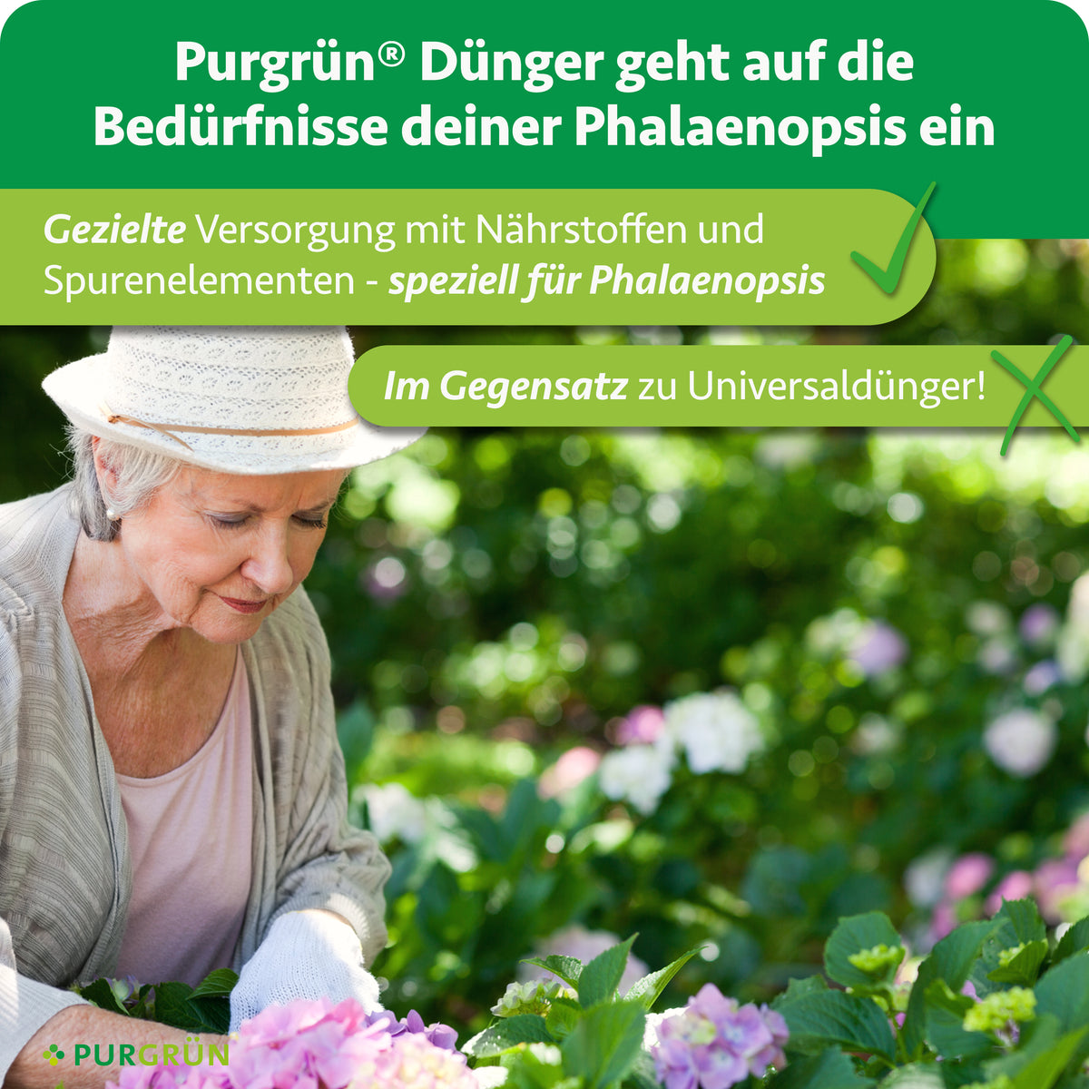 Gezielte Versorgung mit Nährstoffen und Spurenelementen speziell für Phalaenopsis statt Universaldünger, dargestellt mit einer älteren Frau bei der Gartenarbeit.
