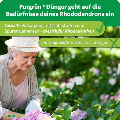 Gezielte Versorgung von Rhododendren mit Nährstoffen und Spurenelementen, gegenübergestellt der Verwendung von Universaldünger.
