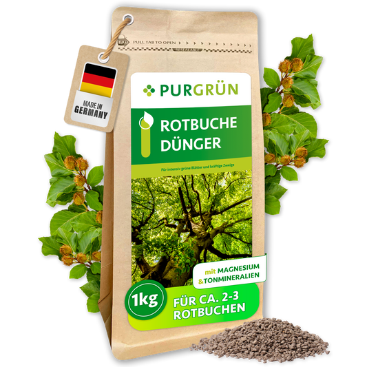 Purgrün Rotbuche-Dünger im wiederverschließbaren 1-kg-Beutel, umgeben von Rotbuchenblättern und feinem Granulat.