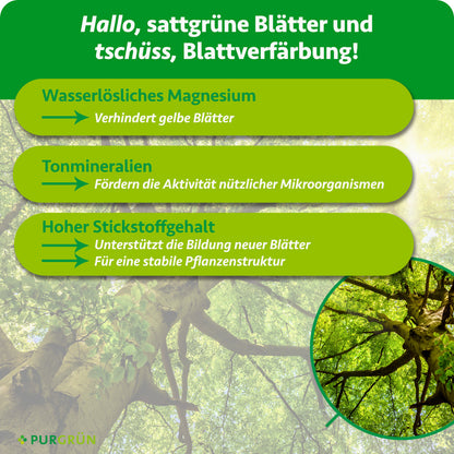 Wasserlösliches Magnesium verhindert gelbe Blätter, Tonmineralien fördern nützliche Mikroorganismen. Hoher Stickstoffgehalt unterstützt neue Blätter und eine stabile Pflanzenstruktur.