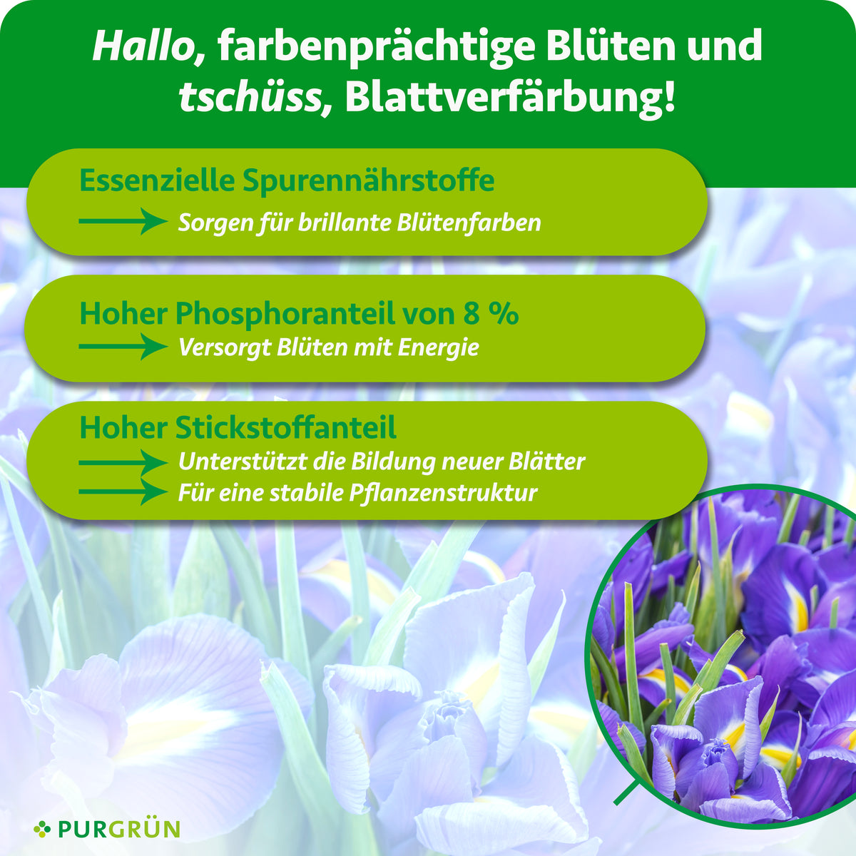 Spurennährstoffe fördern brillante Blütenfarben, 8 % Phosphor versorgen die Blüten mit Energie und Stickstoff unterstützt neue Blätter sowie eine stabile Pflanzenstruktur.