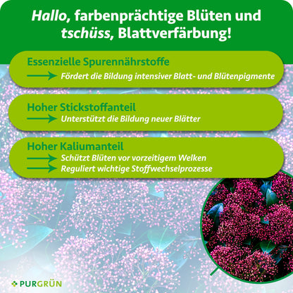 Essenzielle Spurennährstoffe fördern intensive Blatt- und Blütenpigmente; Stickstoff unterstützt neue Blätter, Kalium schützt Blüten vor vorzeitigem Welken und reguliert Stoffwechselprozesse.