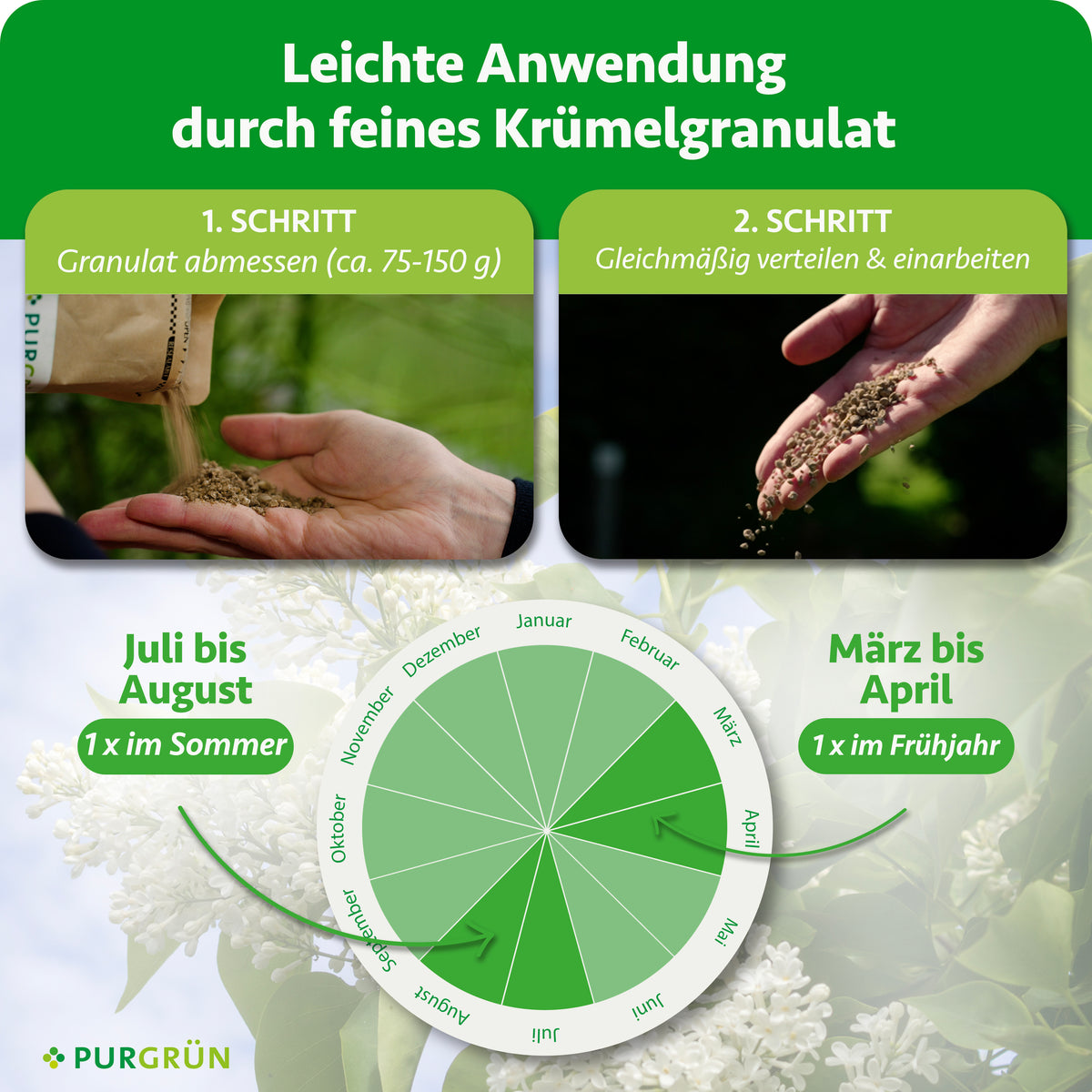 75–150 g Granulat abmessen, gleichmäßig verteilen und einarbeiten. Einmal von März bis April und einmal von Juli bis August anwenden.