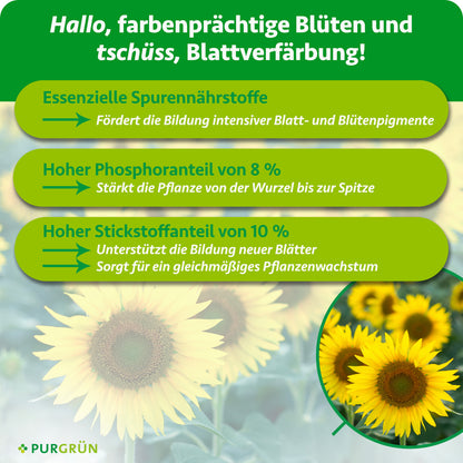Essenzielle Spurennährstoffe fördern intensive Blatt- und Blütenpigmente; 8 % Phosphor stärkt die Pflanze, 10 % Stickstoff unterstützt neue Blätter und gleichmäßiges Wachstum.