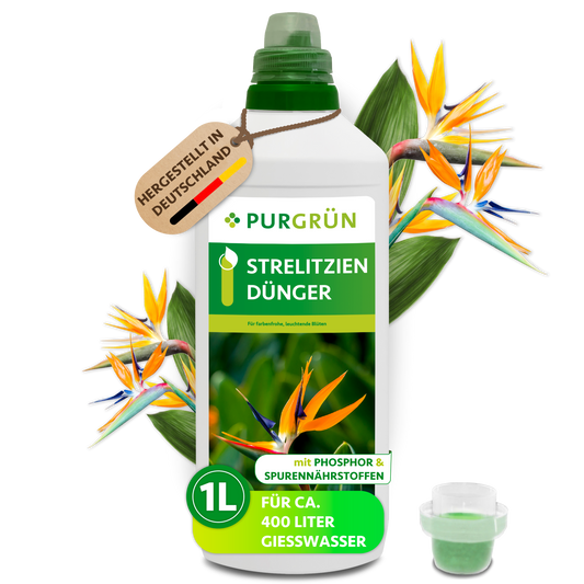 Purgrün Strelitzien-Dünger, 1 Liter, mit Dosierkappe; Konzentrat für ca. 400 Liter Gießwasser.