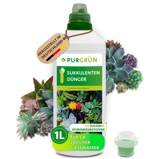 Purgrün Sukkulenten-Dünger in der 1-Liter-Flasche mit Dosierkappe, umgeben von Sukkulenten; reicht für ca. 200 Liter Gießwasser.
