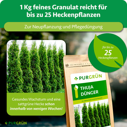 1 kg feines Granulat reicht zur Neu- und Pflegedüngung für bis zu 25 Heckenpflanzen und fördert eine sattgrüne Hecke innerhalb weniger Wochen.