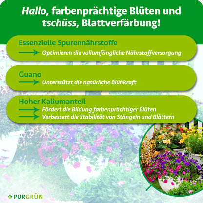 Essenzielle Spurennährstoffe optimieren die Nährstoffversorgung, Guano unterstützt die natürliche Blühkraft. Ein hoher Kaliumanteil fördert farbenprächtige Blüten und stabile Stängel und Blätter.