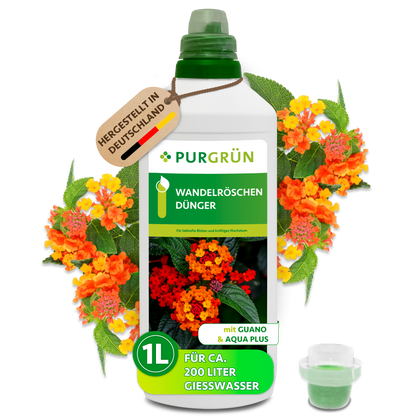 Purgrün Wandelröschen-Dünger in der 1-Liter-Flasche mit Dosierkappe, umgeben von orange-gelben Blüten; ausreichend für ca. 200 Liter Gießwasser.