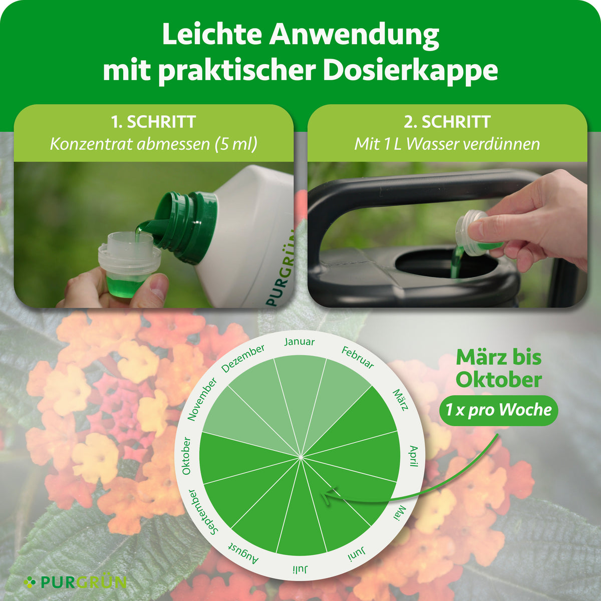 Anwendung: 5 ml Konzentrat abmessen, mit 1 Liter Wasser verdünnen und von März bis Oktober 1× pro Woche düngen.