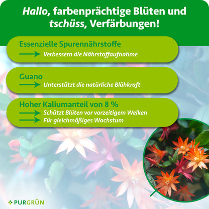 Essenzielle Spurennährstoffe verbessern die Nährstoffaufnahme, Guano unterstützt die natürliche Blühkraft und 8 % Kalium schützen vorzeitigem Welken und fördern gleichmäßiges Wachstum.