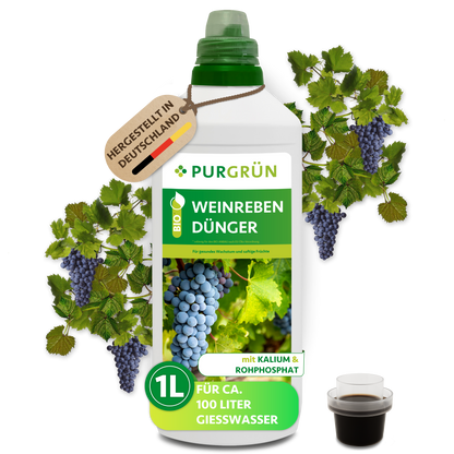 Eine 1-Liter-Flasche Purgrün Bio-Weinreben-Dünger ist abgebildet, dahinter Trauben und Weinreben. Das Etikett weist NPK 3+2+6 aus, ist in Deutschland hergestellt, organisch-mineralisch und für ca. 100 Liter Wasser geeignet.