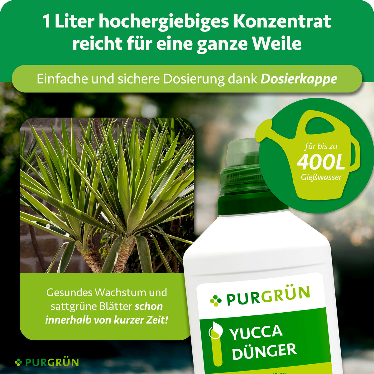1 Liter Yucca-Dünger-Konzentrat reicht für bis zu 400 Liter Gießwasser und lässt sich mit der Dosierkappe einfach und sicher dosieren.