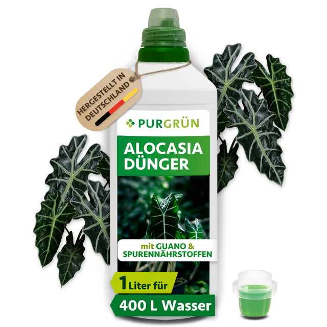 Der Purgrün Alocasia-Dünger 1 Liter enthält eine Flasche mit Alocasia-Blättern, die für ca. 400 Liter Gießwasser geeignet ist. Enthält Mikronährstoffe für schnelles Wachstum. Inklusive Messkappe und Abbildung frischer Alocasia-Blätter.