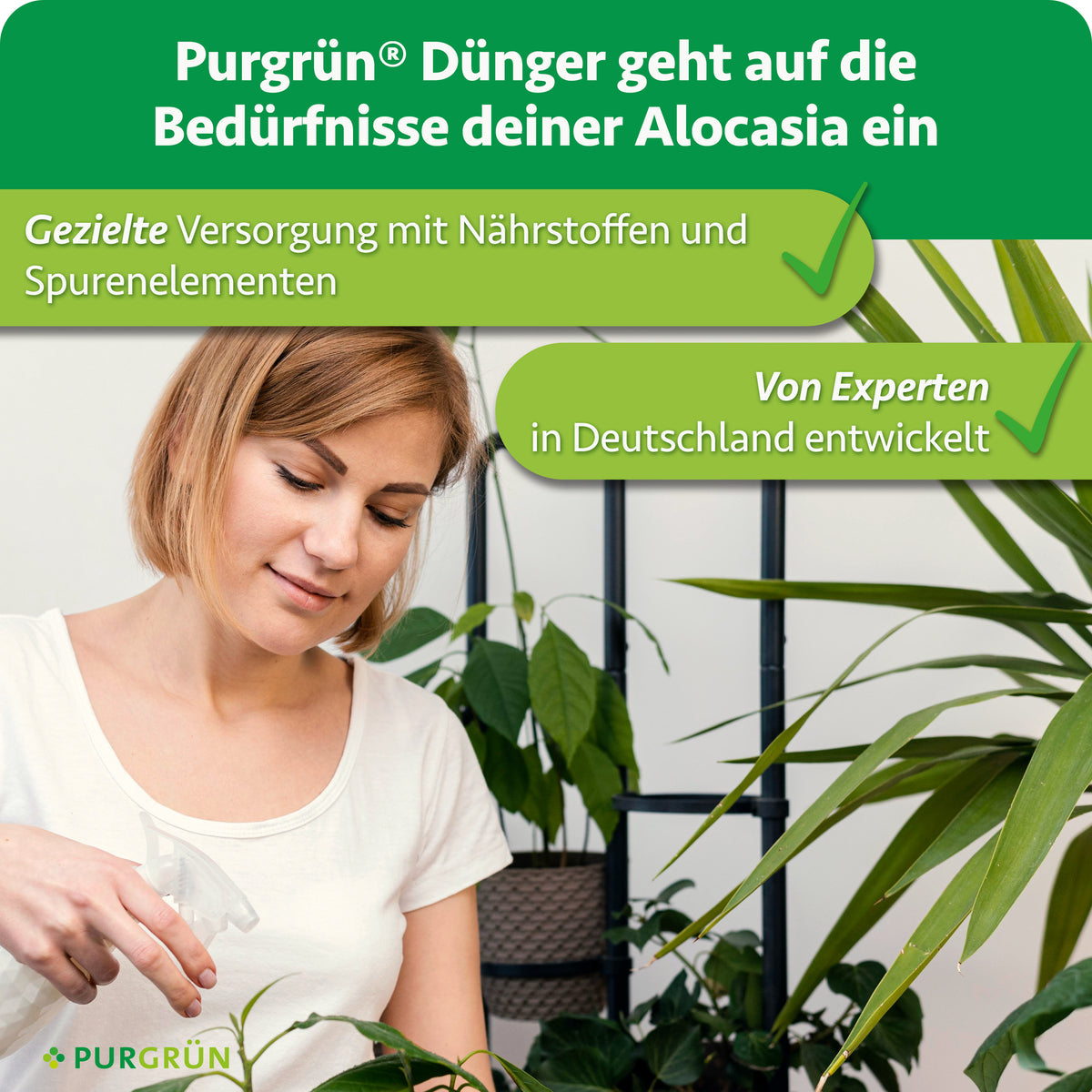 Purgrün Alocasia-Dünger: gezielte Versorgung mit Nährstoffen und Spurenelementen, von Experten in Deutschland entwickelt.