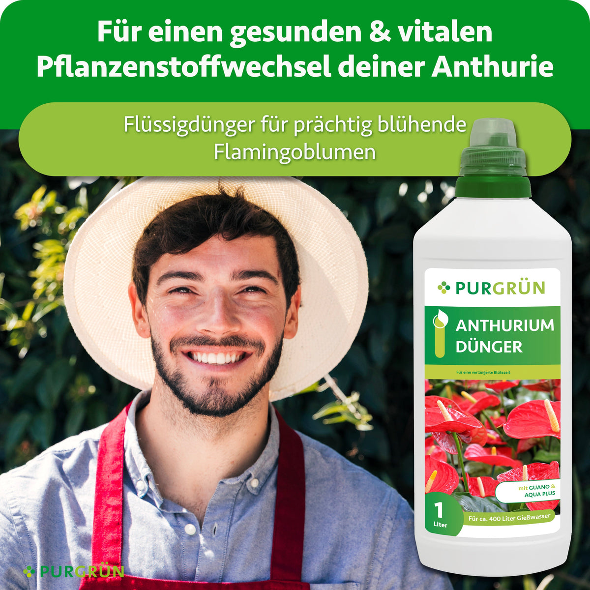Purgrün Anthurium-Dünger neben einem lächelnden Gärtner, beworben für einen gesunden, vitalen Pflanzenstoffwechsel und prächtig blühende Flamingoblumen.