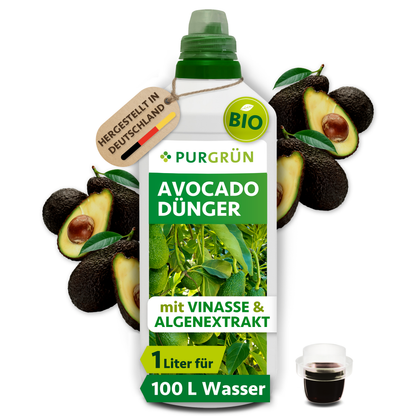 Eine 1-Liter-Flasche Purgrün Bio-Avocado-Dünger ist mit Avocados und einer Tasse dunkler Flüssigkeit abgebildet. Auf dem Etikett steht Vinasse und Algenextrakt, hergestellt in Deutschland, für gesunde Avocadobäume.