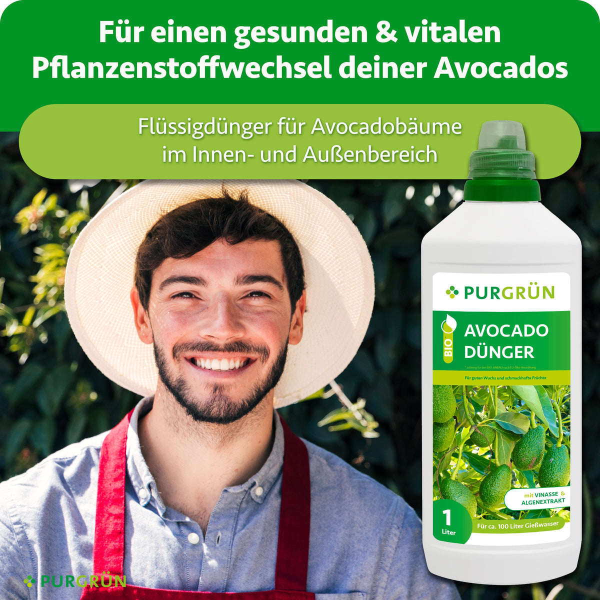 Ein lächelnder Mann in einer roten Schürze steht neben einer 1-Liter-Flasche Purgrün Bio-Avocado-Dünger, der als idealer Flüssigdünger für starke, gesunde Avocadobäume im Innen- und Außenbereich angepriesen wird.