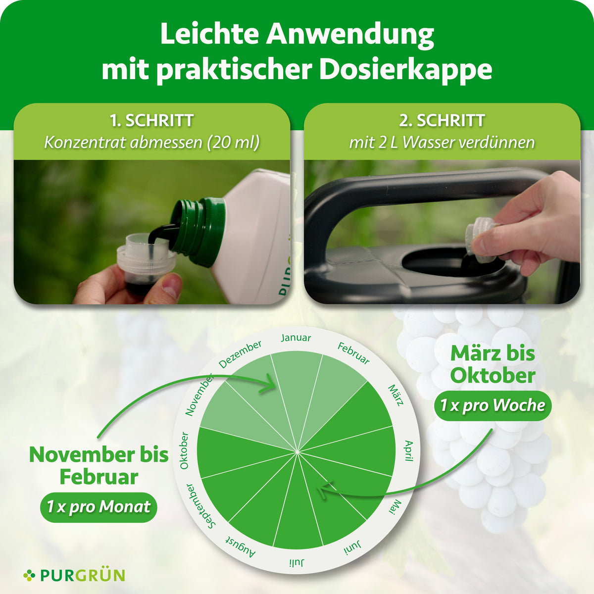 Anleitung für Purgrün Bio-Avocado-Dünger 1 Liter: Schritt 1 – 20 ml Dünger abmessen, Schritt 2 – mit 2 Litern Wasser mischen; Diagramm zeigt empfohlene Dosierung für Avocadobäume pro Monat.