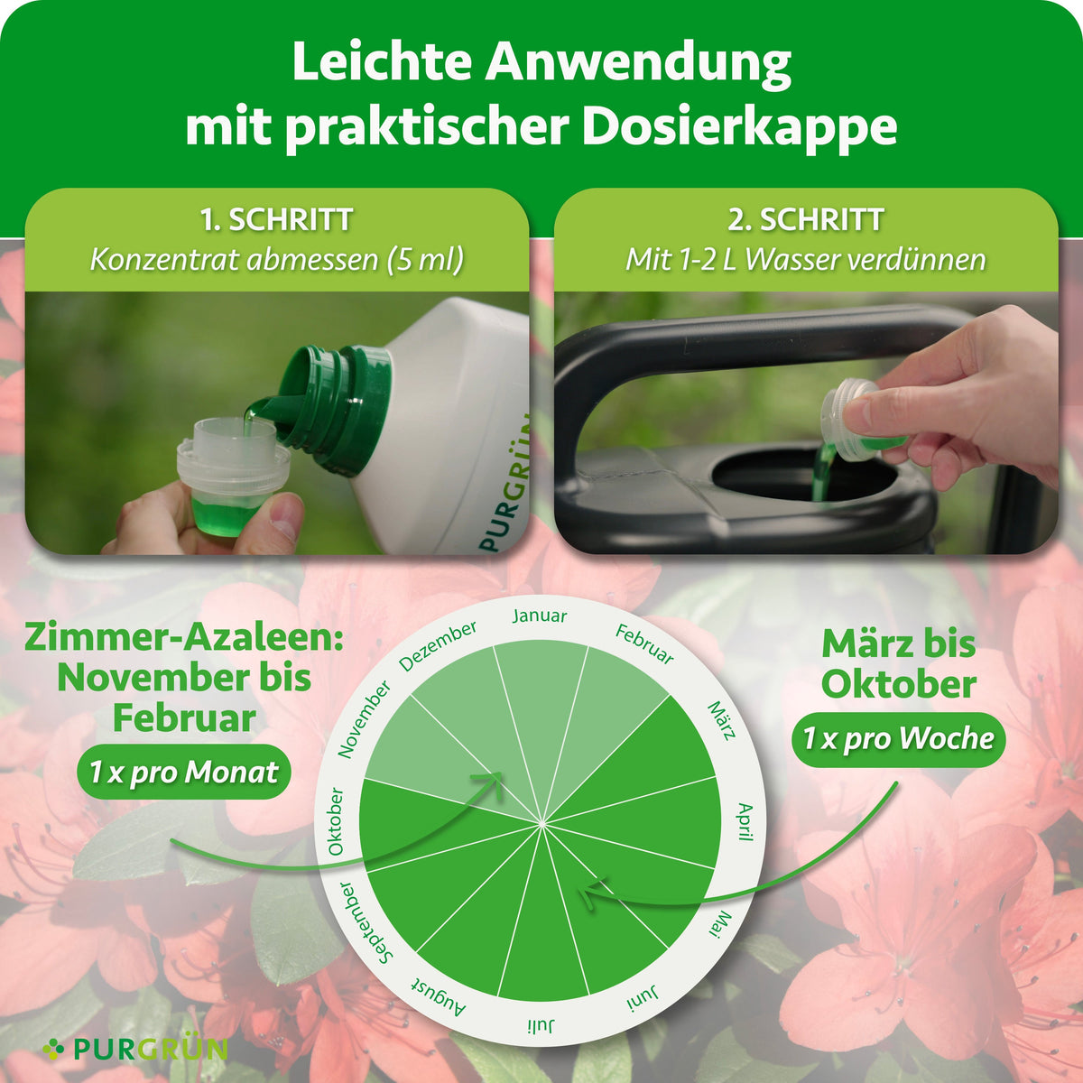 Anwendung: 5 ml Konzentrat abmessen und mit 1–2 Litern Wasser verdünnen. Zimmer-Azaleen von November bis Februar einmal monatlich, von März bis Oktober einmal wöchentlich düngen.