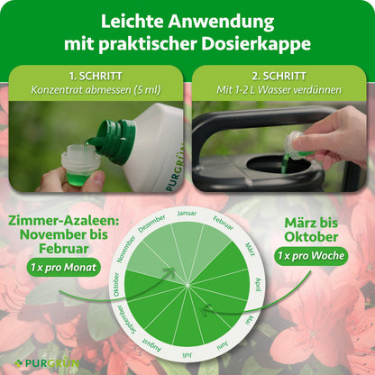 Anwendung: 5 ml Konzentrat abmessen und mit 1–2 Litern Wasser verdünnen. Zimmer-Azaleen von November bis Februar einmal monatlich, von März bis Oktober einmal wöchentlich düngen.