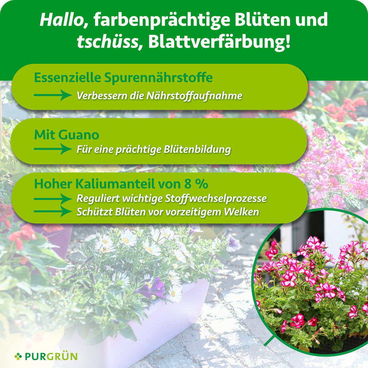 Essenzielle Spurennährstoffe verbessern die Nährstoffaufnahme. Mit Guano für eine prächtige Blütenbildung. 8 % Kalium regulieren wichtige Stoffwechselprozesse und schützen Blüten vor vorzeitigem Welken.