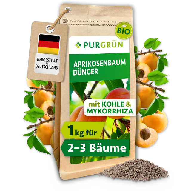 Wiederverschließbarer Beutel Purgrün Bio-Aprikosenbaum-Dünger, 1 kg, mit Aprikosenzweigen und feinem Granulat.
