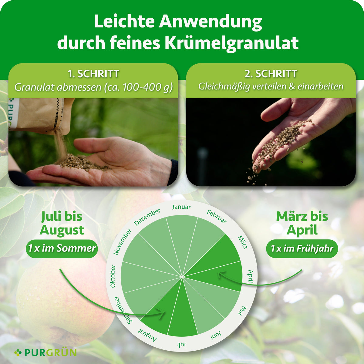 Ca. 100–400 g Granulat abmessen, gleichmäßig verteilen und einarbeiten. Je einmal von März bis April und von Juli bis August düngen.