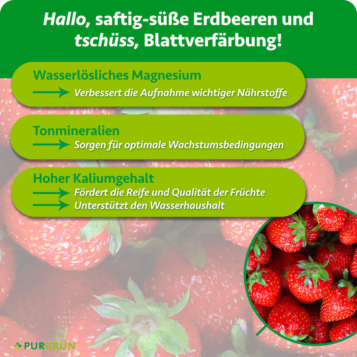 Wasserlösliches Magnesium verbessert die Nährstoffaufnahme, Tonmineralien schaffen optimale Wachstumsbedingungen und Kalium fördert Fruchtreife, Fruchtqualität und Wasserhaushalt.