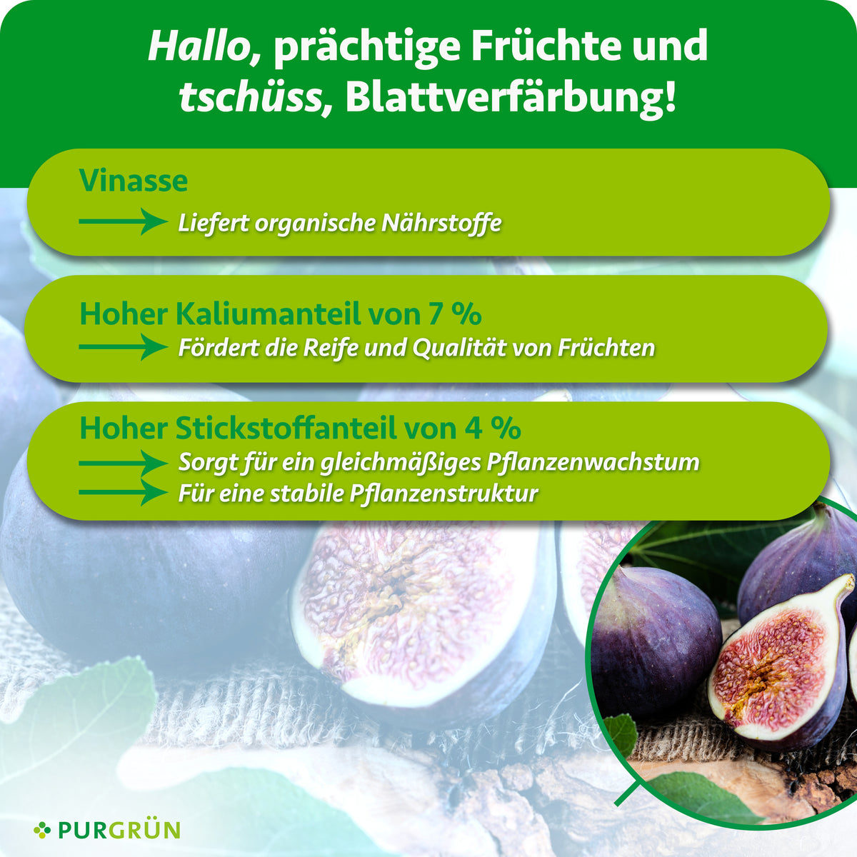 Vinasse liefert organische Nährstoffe; 7 % Kalium fördern Reife und Fruchtqualität, 4 % Stickstoff gleichmäßiges Wachstum und eine stabile Pflanzenstruktur.