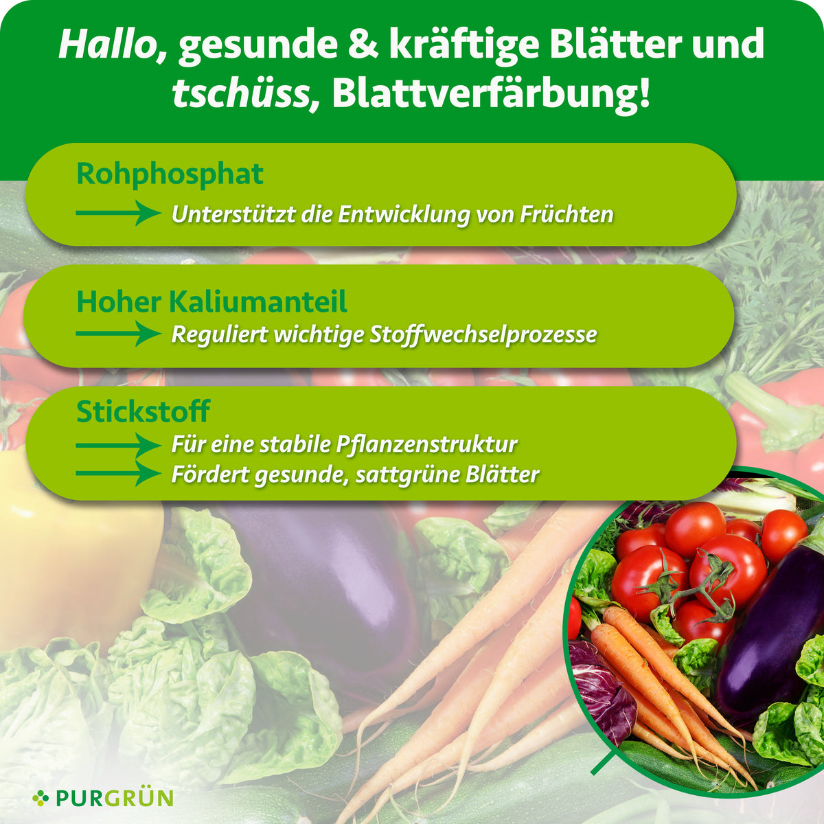Rohphosphat unterstützt die Fruchtentwicklung, ein hoher Kaliumanteil reguliert wichtige Stoffwechselprozesse und Stickstoff fördert eine stabile Pflanzenstruktur sowie gesunde, sattgrüne Blätter.