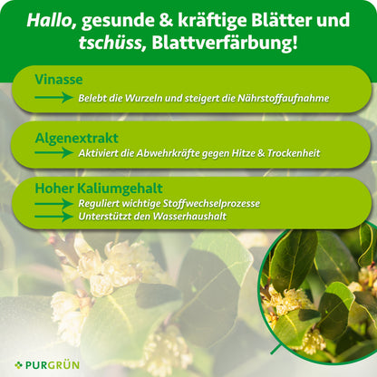 Vinasse belebt die Wurzeln und steigert die Nährstoffaufnahme, Algenextrakt aktiviert die Abwehrkräfte gegen Trockenheit. Der hohe Kaliumgehalt reguliert wichtige Stoffwechselprozesse und unterstützt den Wasserhaushalt.