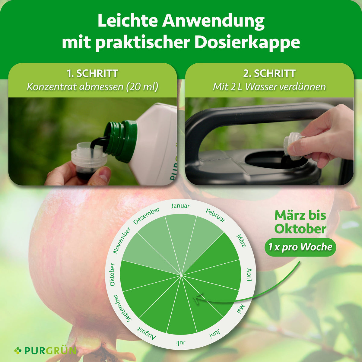 Anwendung: 20 ml Konzentrat abmessen, mit 2 Litern Wasser verdünnen und von März bis Oktober einmal pro Woche düngen.