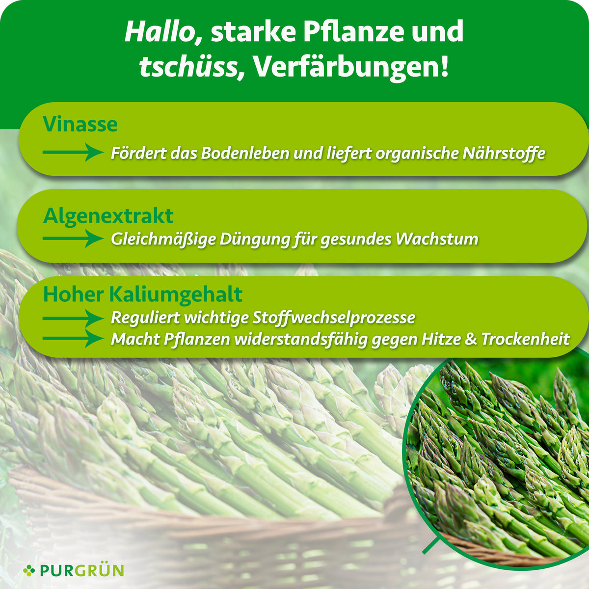 Vinasse fördert das Bodenleben und liefert organische Nährstoffe; Algenextrakt und hoher Kaliumgehalt unterstützen gesundes Wachstum und wichtige Stoffwechselprozesse.