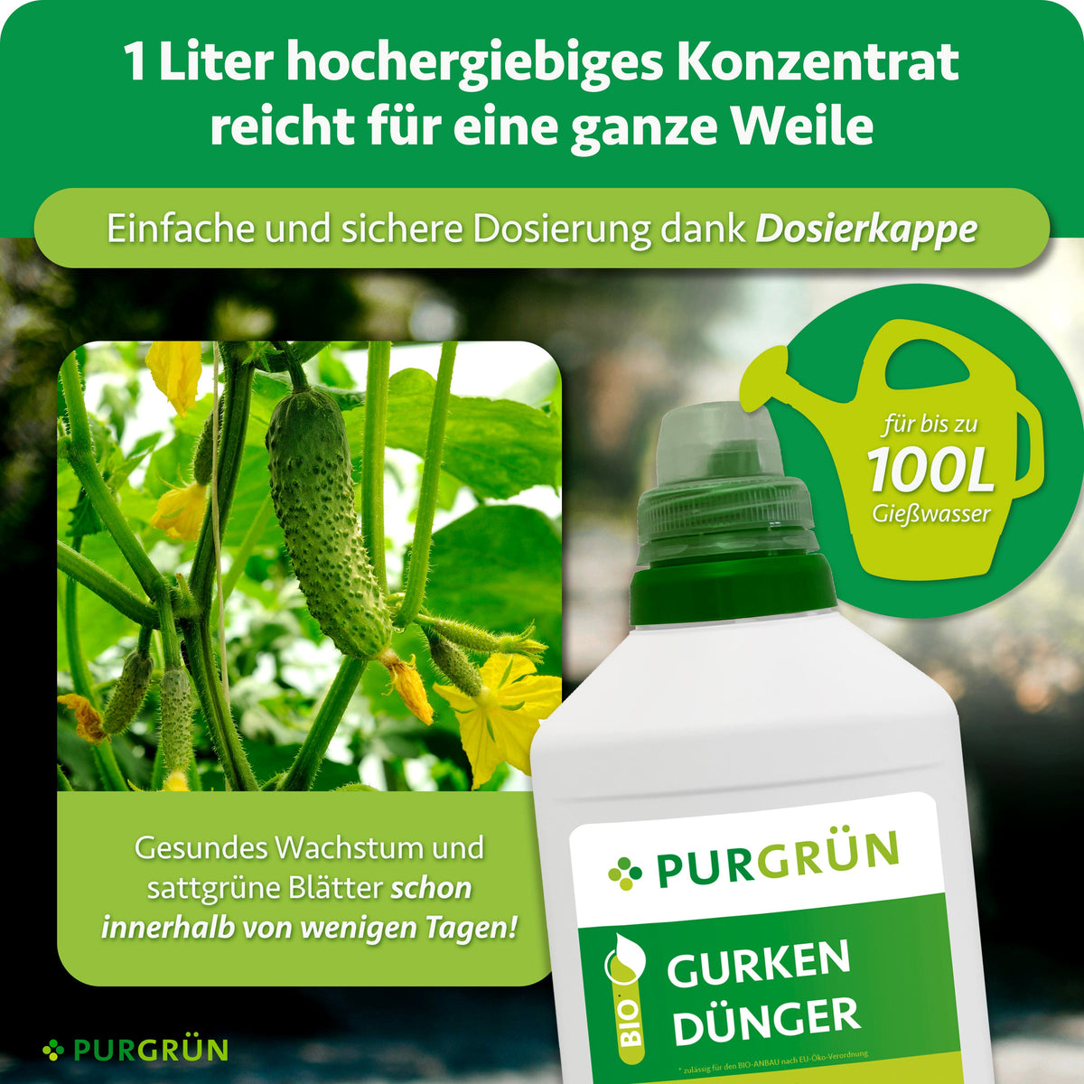 1 Liter Konzentrat mit Dosierkappe reicht für bis zu 100 Liter Gießwasser; beworben werden gesundes Wachstum und sattgrüne Blätter innerhalb weniger Tage.