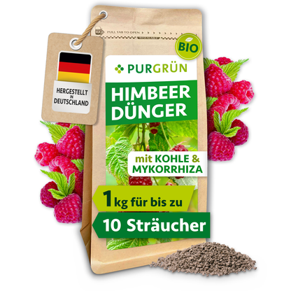 Purgrün Bio-Himbeerdünger im 1-kg-Beutel, mit Pflanzenkohle und Mykorrhiza, umgeben von Himbeeren und feinem Granulat.